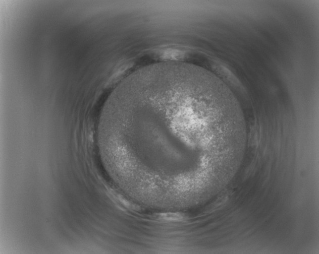 X0000081490363200701191904