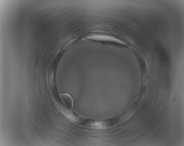 X0000081490365200701191904