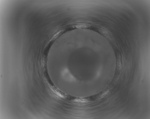 X0000081490367200701191904