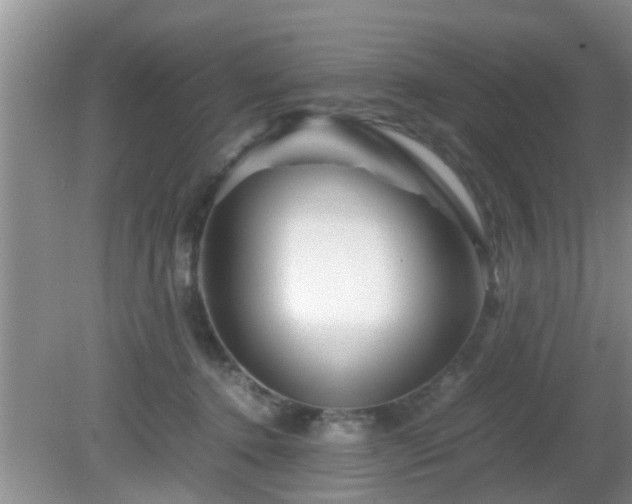 X0000081490368200701191904