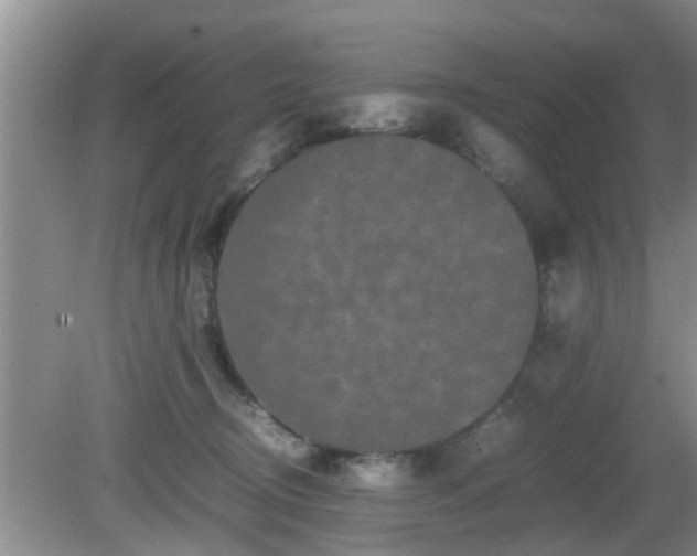 X0000081490370200701191904