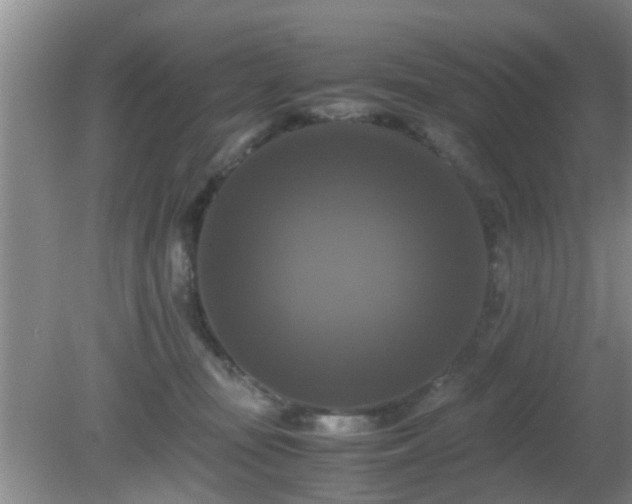 X0000081490371200701191904