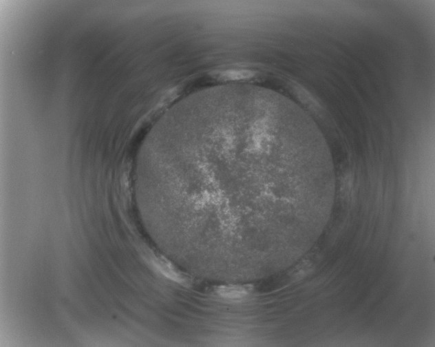 X0000081490373200701191904