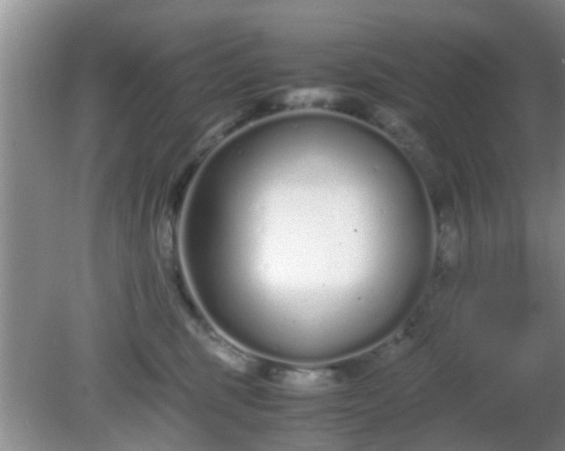 X0000081490375200701191904