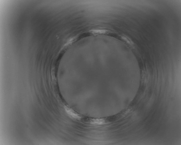 X0000081490377200701191904