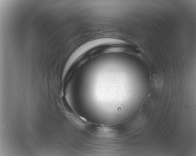 X0000081490380200701191905