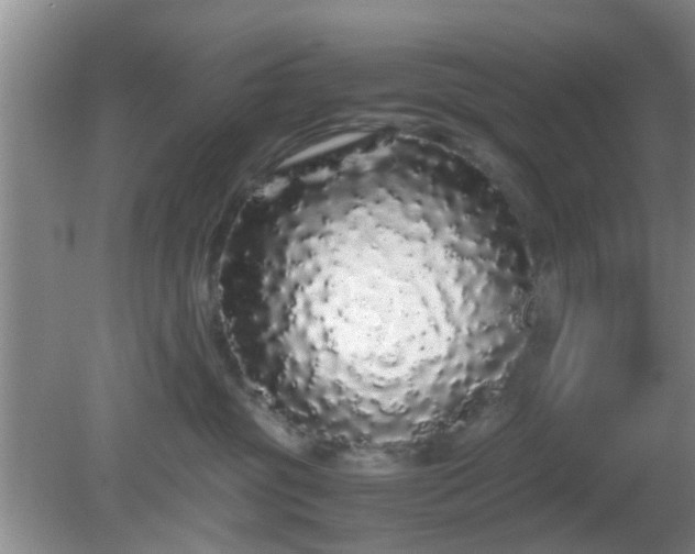 X0000081490381200701191905