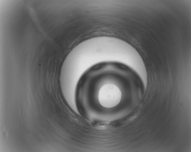 X0000081490382200701191905