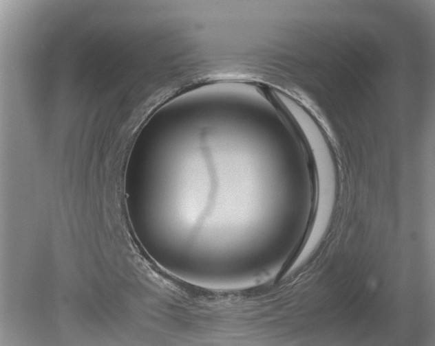 X0000081490385200701191904