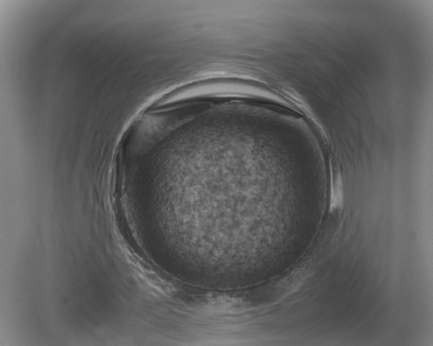 X0000081490387200701191904