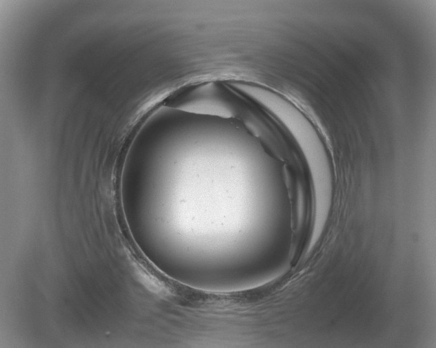 X0000081490389200701191904