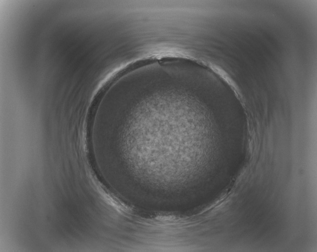 X0000081490391200701191904