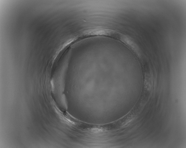 X0000081490394200701191904