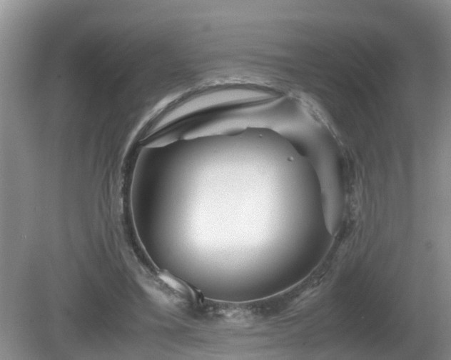 X0000081490395200701191904