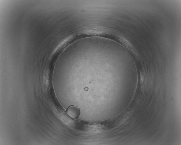 X0000081490396200701191904