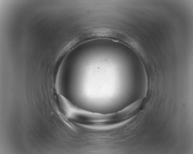 X0000081490397200701191904