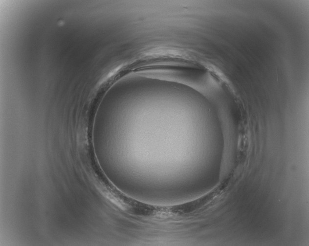 X0000081490399200701191904