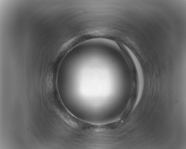 X0000081490400200701191904