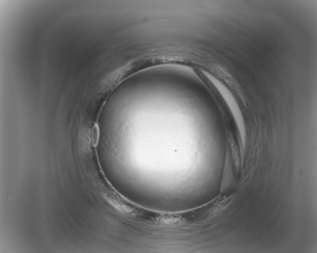 X0000081490401200701191904