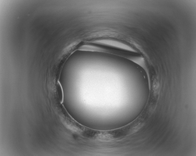 X0000081490403200701191903