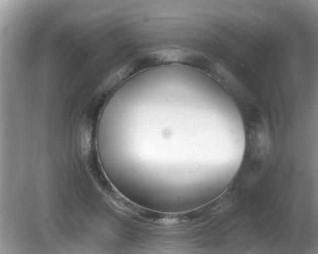 X0000081490406200701191903