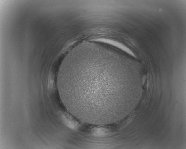 X0000081490408200701191903