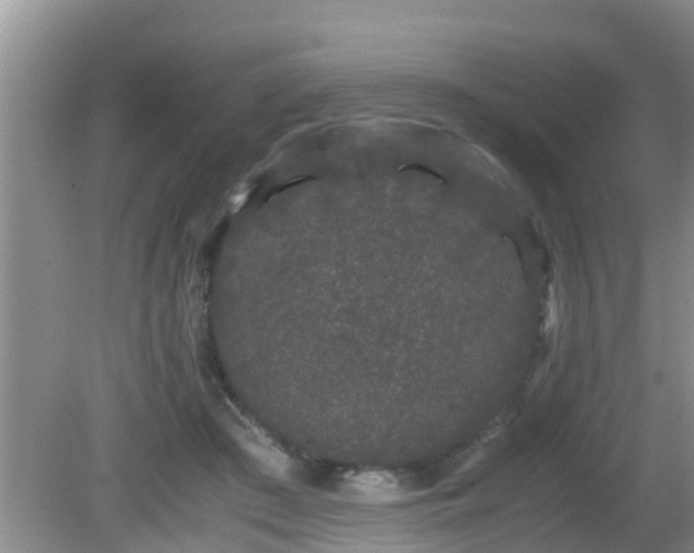 X0000081490409200701191903