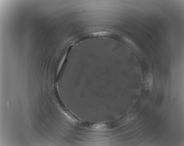 X0000081490410200701191903