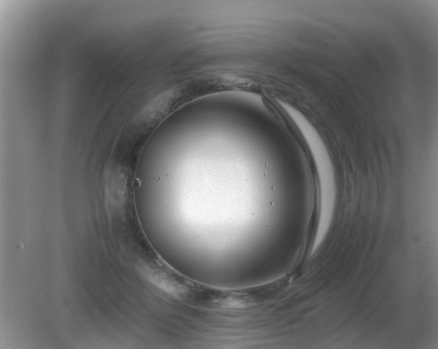 X0000081490412200701191903