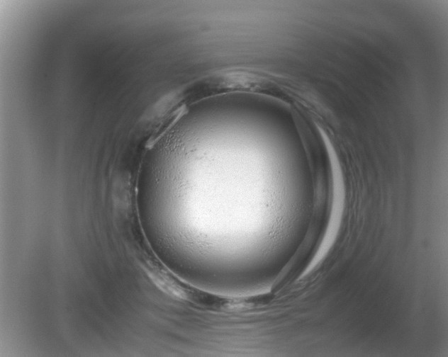 X0000081490413200701191903