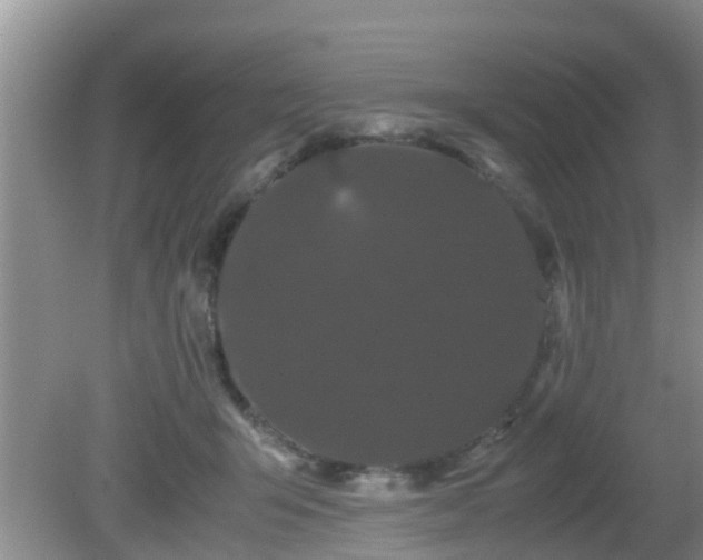 X0000081490415200701191903