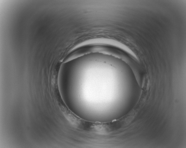 X0000081490417200701191903