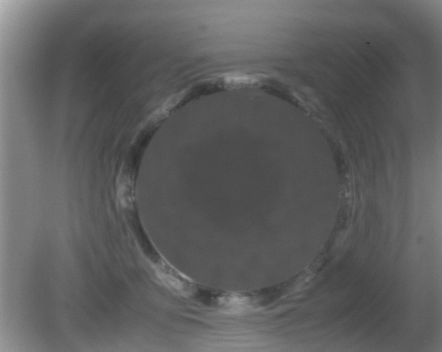 X0000081490419200701191903