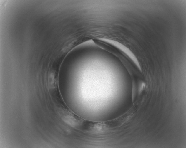 X0000081490420200701191903