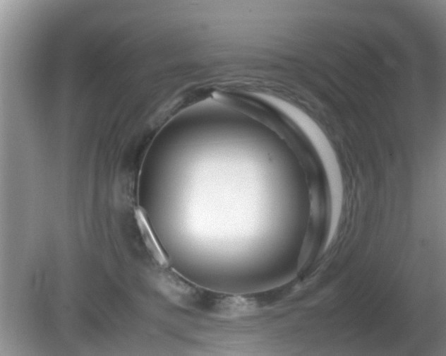 X0000081490421200701191903