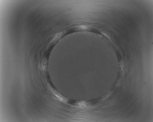 X0000081490423200701191903