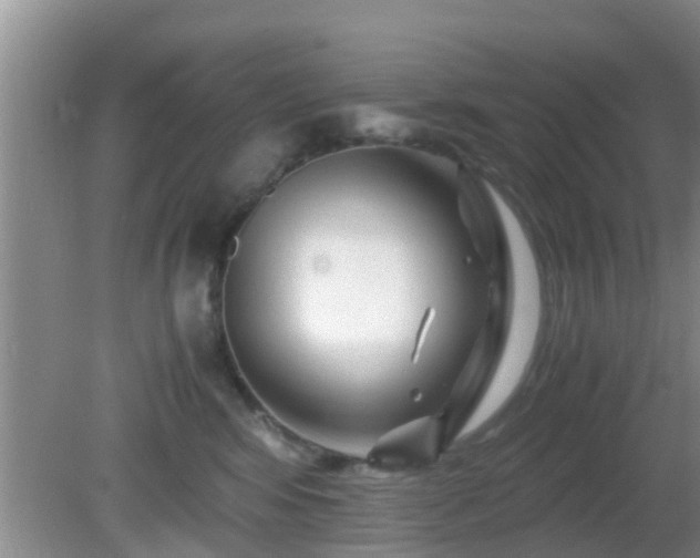 X0000081490424200701191903