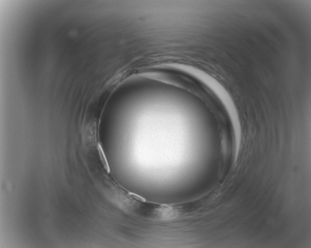 X0000081490425200701191903