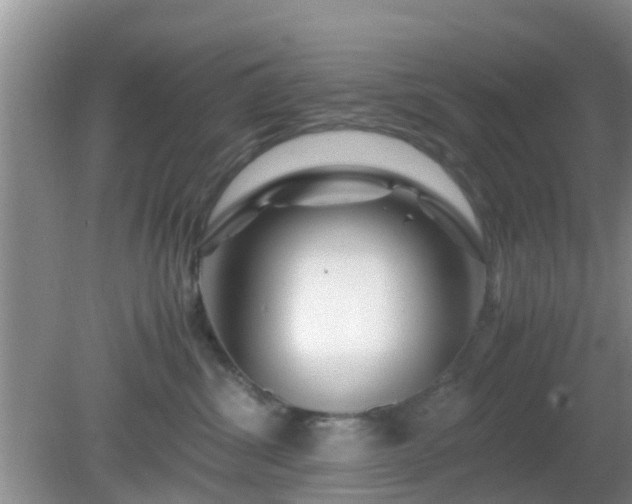 X0000081490428200701191903