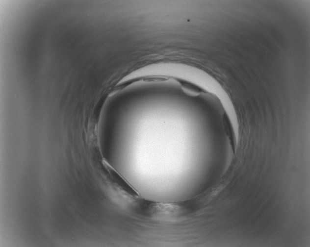 X0000081490429200701191903