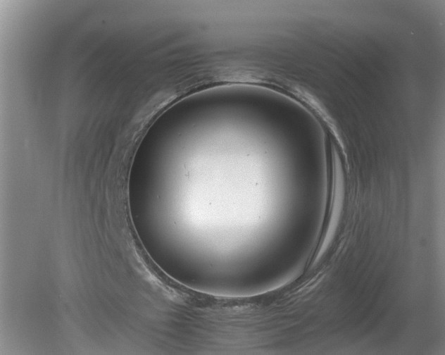 X0000081490433200701191902