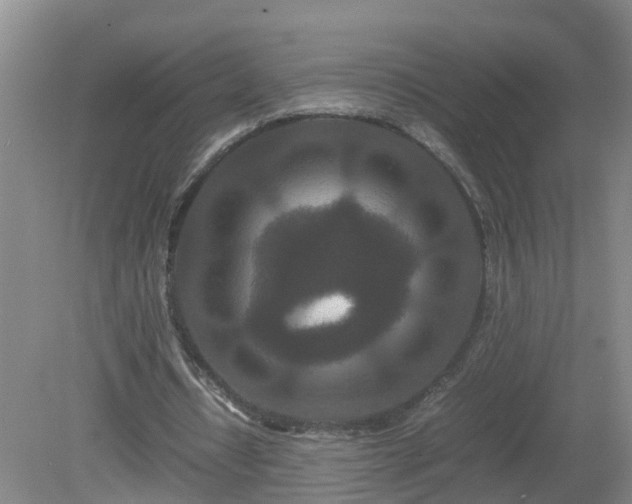 X0000081490434200701191902