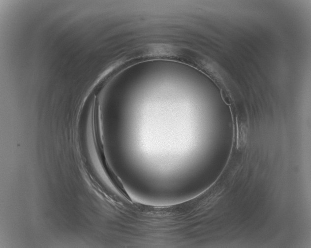 X0000081490435200701191902