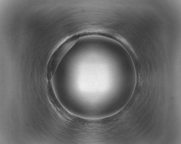 X0000081490436200701191902