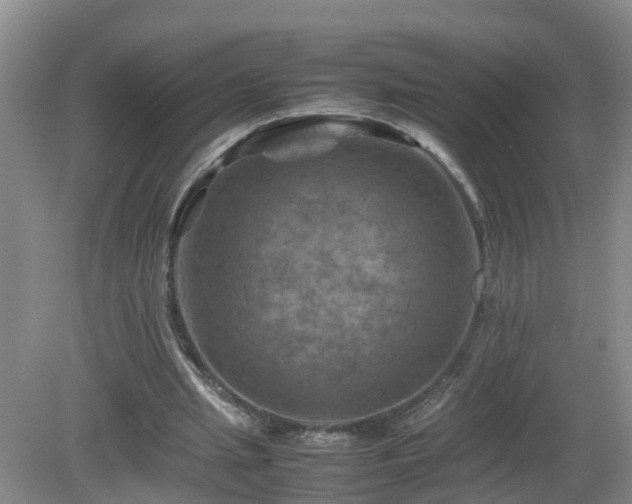 X0000081490437200701191902