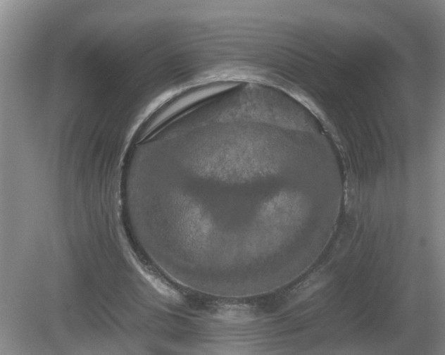 X0000081490438200701191902