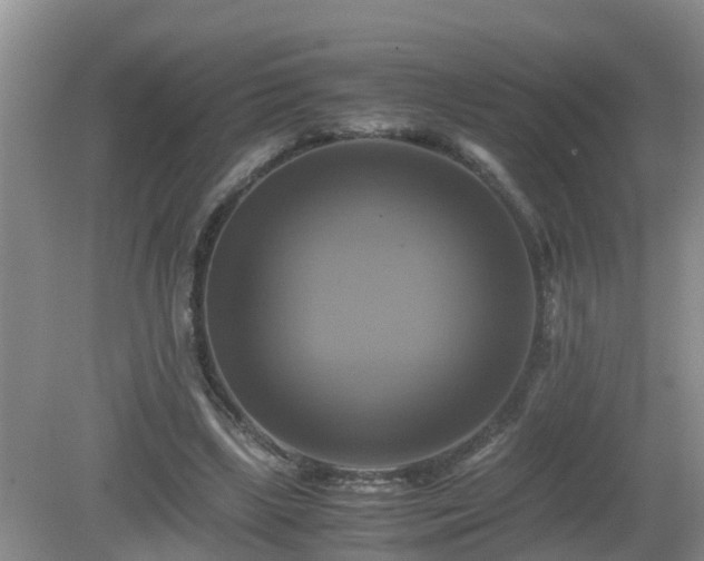 X0000081490443200701191902