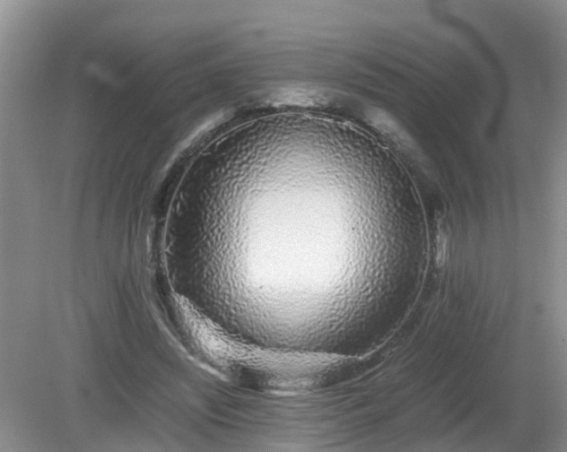 X0000081490444200701191902