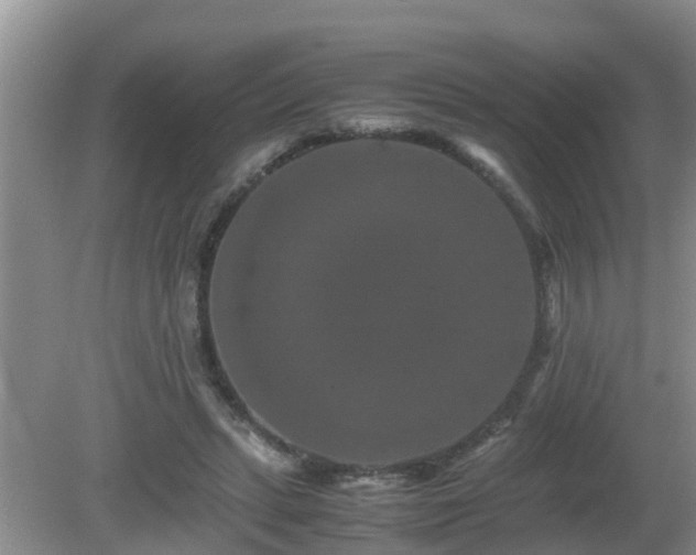 X0000081490447200701191902