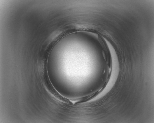 X0000081490448200701191902